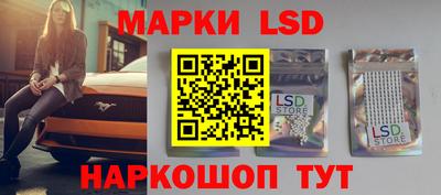 индика Моздок