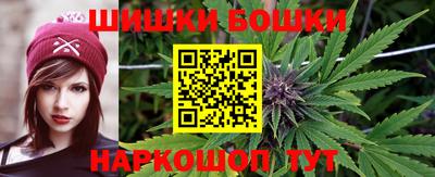 индика Моздок