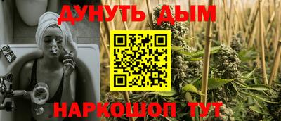 индика Моздок
