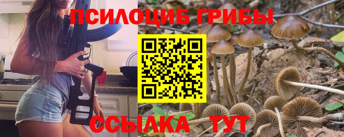 Чебаркуль  Псилоцибиновые грибы Psilocybine cubensis  Вход с VPN 